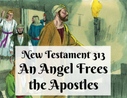 NT 313 - An Angel Frees the Apostles